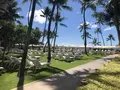 オーキッドの写真_321863