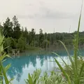 白金青い池の写真_322120
