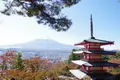 新倉山浅間公園の写真_322220