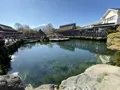 忍野八海の写真_322222