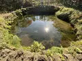忍野八海の写真_322223
