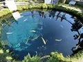 忍野八海の写真_322226