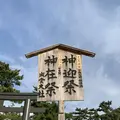 松の参道の写真_322463