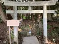 松の参道の写真_322468