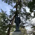松の参道の写真_322470