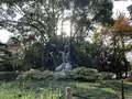 松の参道の写真_322472