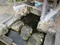 真名井の清水の写真_322498