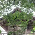 須佐神社の写真_322514