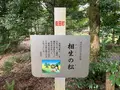 須佐神社の写真_322516