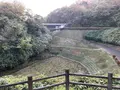 加茂岩倉遺跡の写真_322544