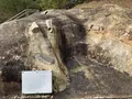 加茂岩倉遺跡の写真_322547