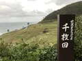 千枚田の写真_322550