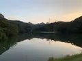 荒神谷遺跡の写真_322557