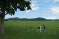 渡辺体験牧場の写真_322678