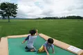 渡辺体験牧場の写真_322679