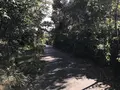 横浜自然観察の森の写真_322769