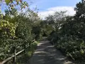 横浜自然観察の森の写真_322774