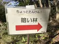 横浜自然観察の森の写真_322778