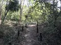 横浜自然観察の森の写真_322779