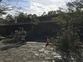 横浜自然観察の森の写真_322780