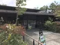 横浜自然観察の森の写真_322783