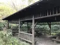 横浜自然観察の森の写真_322786