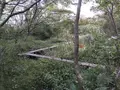 横浜自然観察の森の写真_322788