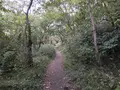 横浜自然観察の森の写真_322790