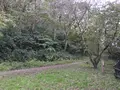 横浜自然観察の森の写真_322791