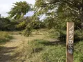 横浜自然観察の森の写真_322796