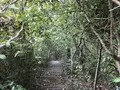 横浜自然観察の森の写真_322799