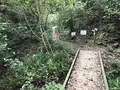 横浜自然観察の森の写真_322800
