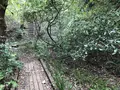 横浜自然観察の森の写真_322803
