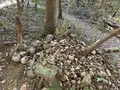 黄泉比良坂の写真_323205