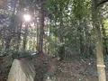 黄泉比良坂の写真_323207