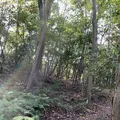 黄泉比良坂の写真_323208