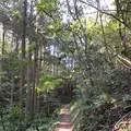 黄泉比良坂の写真_323210