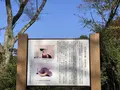 月山富田城跡の写真_323242