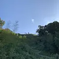 月山富田城跡の写真_323256