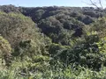 横浜自然観察の森の写真_323281