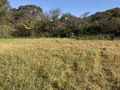 横浜自然観察の森の写真_323286