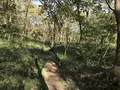 横浜自然観察の森の写真_323287