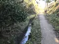 横浜自然観察の森の写真_323294