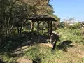 横浜自然観察の森の写真_323295