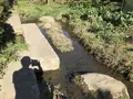 横浜自然観察の森の写真_323296