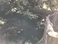 横浜自然観察の森の写真_323297