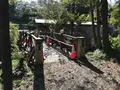 横浜自然観察の森の写真_323299
