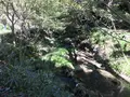 横浜自然観察の森の写真_323301