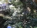 横浜自然観察の森の写真_323304