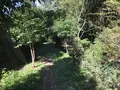 横浜自然観察の森の写真_323308